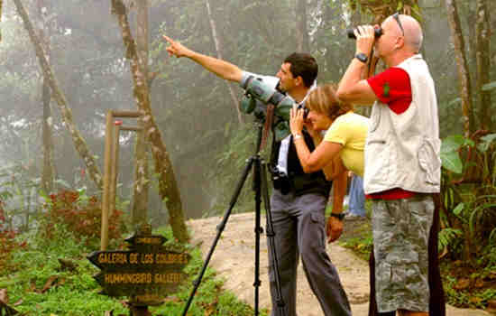 4 Mejores Bosques Nubosos de Costa Rica