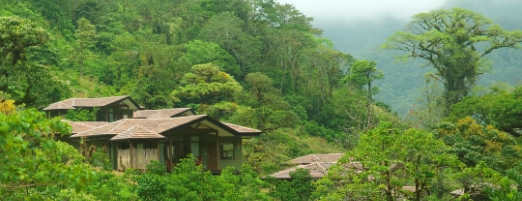 TOP 4 COSTA RICA CLOUD FORESTE