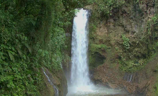 TOP 4 COSTA RICA WOLKENWALDEN