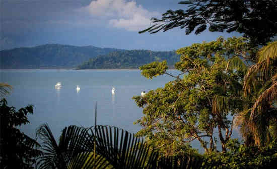 Osa Peninsula Costa Rica