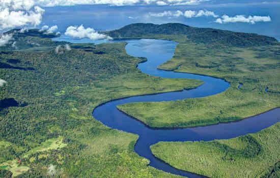 OSA PENINSULA RAINFOREST EXPLORATION