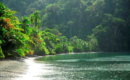 OSA PENINSULA TRAVEL GUIDE