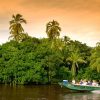 Things to do in Tortuguero National Park, Costa Rica