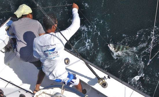 Les Meilleures Marinas de Pêche Sportive au Costa Rica