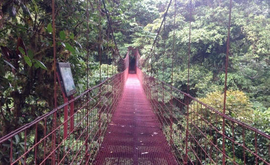 Top 6 Monteverde Day Tours & Activities | Costa Rica Experts