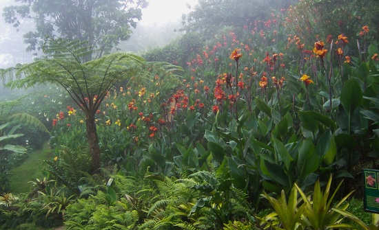 10 Costa Rica Rainy Season Travel Perks