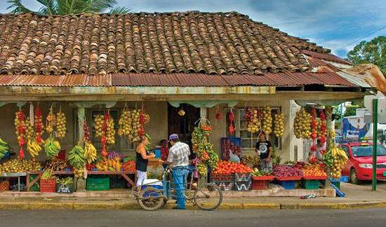Top Costa Rica Gastro Tours for Foodies
