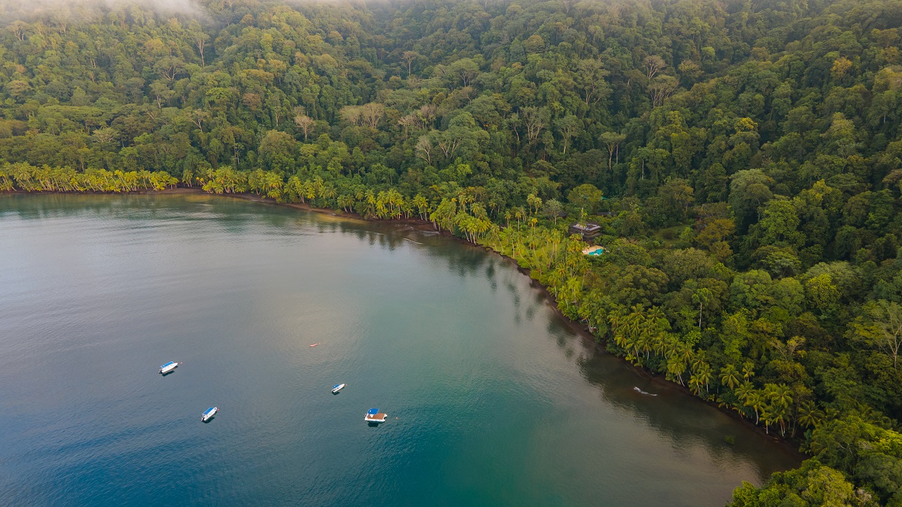 Playa Cativo Rainforest Hotel Review