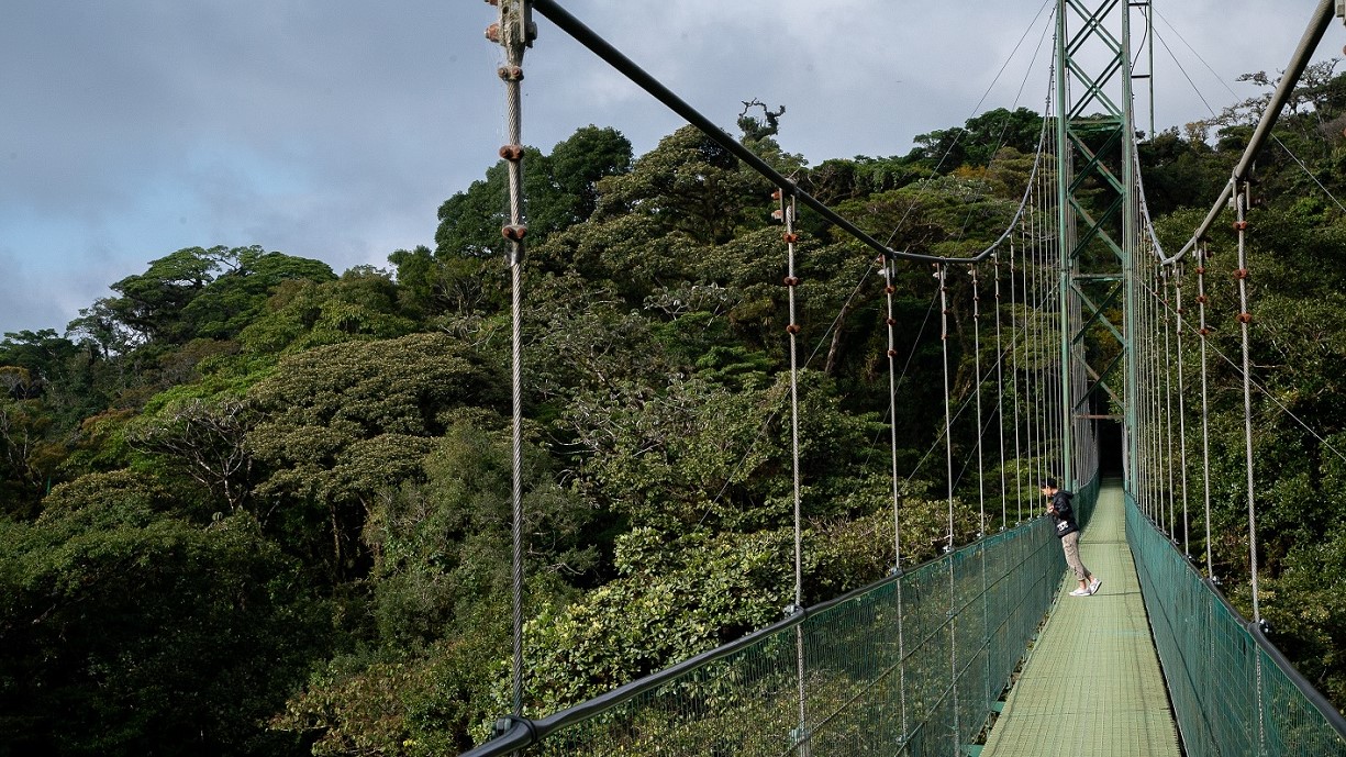 6 Reasons To Add Monteverde To Your Bucket List