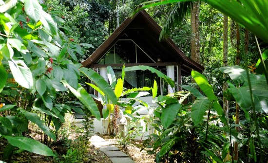 Stay at Oxygen Jungle Villas, Costa Rica