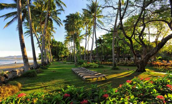 Stay At Tamarindo Diria Beach Resort Costa Rica Experts