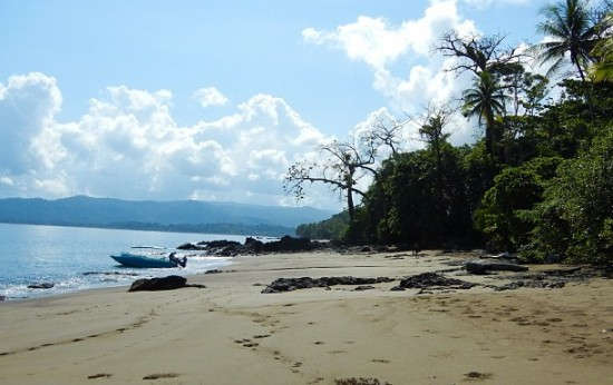 Copa de Arbol Beach