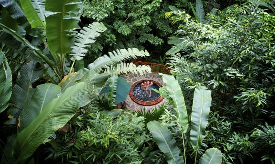 Jardins de l'hôtel Nayara, Costa Rica
