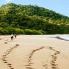 Best Time to Visit Costa Rica: What to Expect Month by Month