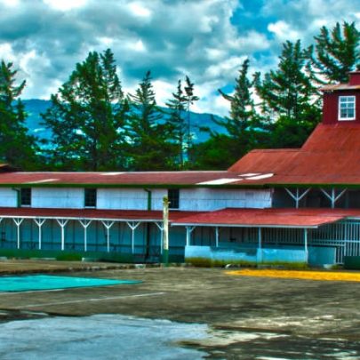 6 Best Costa Rica Coffee Plantation Tours
