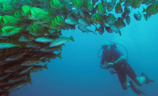 Coastal Wonders of Costa Rica