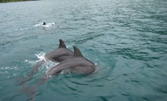 Coastal Wonders of Costa Rica