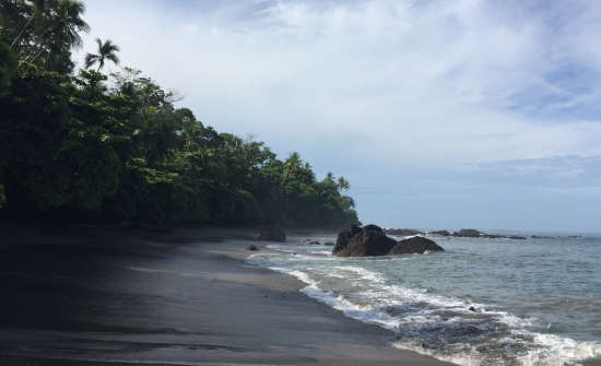A Guide To Visiting Corcovado National Park
