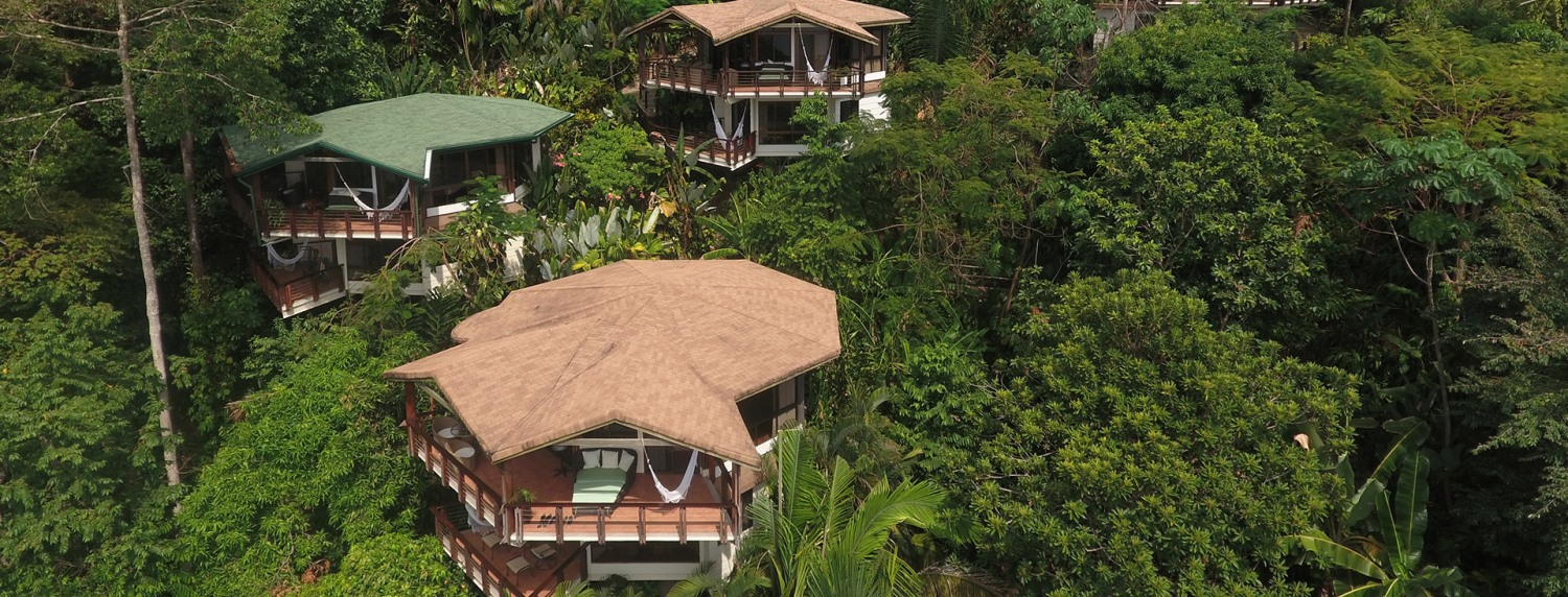 6 Best Costa Rica Treehouse Hotels | Costa Rica Experts
