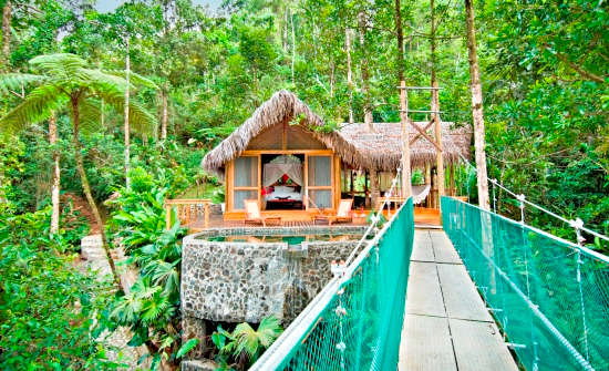 6 Best Costa Rica Treehouse Hotels