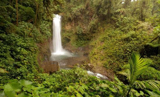 Giardini delle cascate della Valle Centrale di La Paz