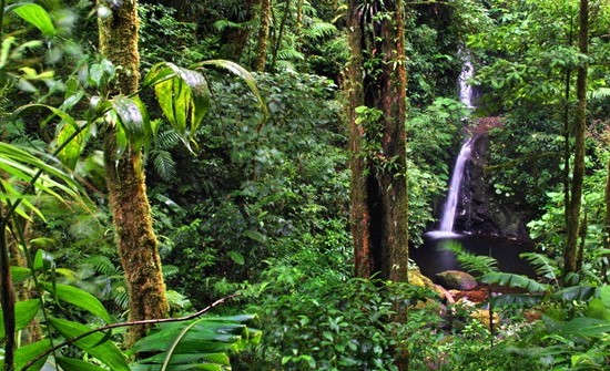 Senda Monteverde Hotel