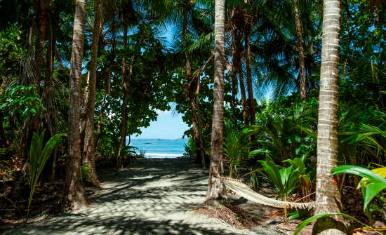 Isla Palenque Bungalow Ocean View