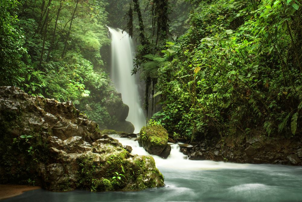 La Paz Waterfall Gardens Guide Waterfall