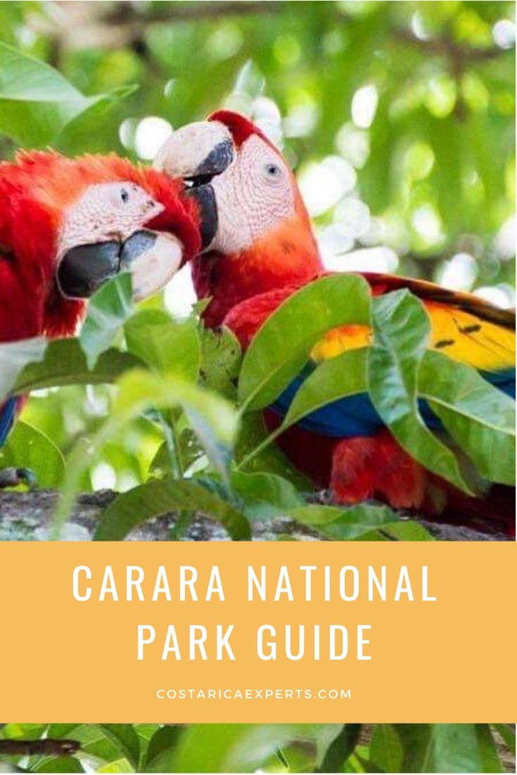 Carara National Park Guide