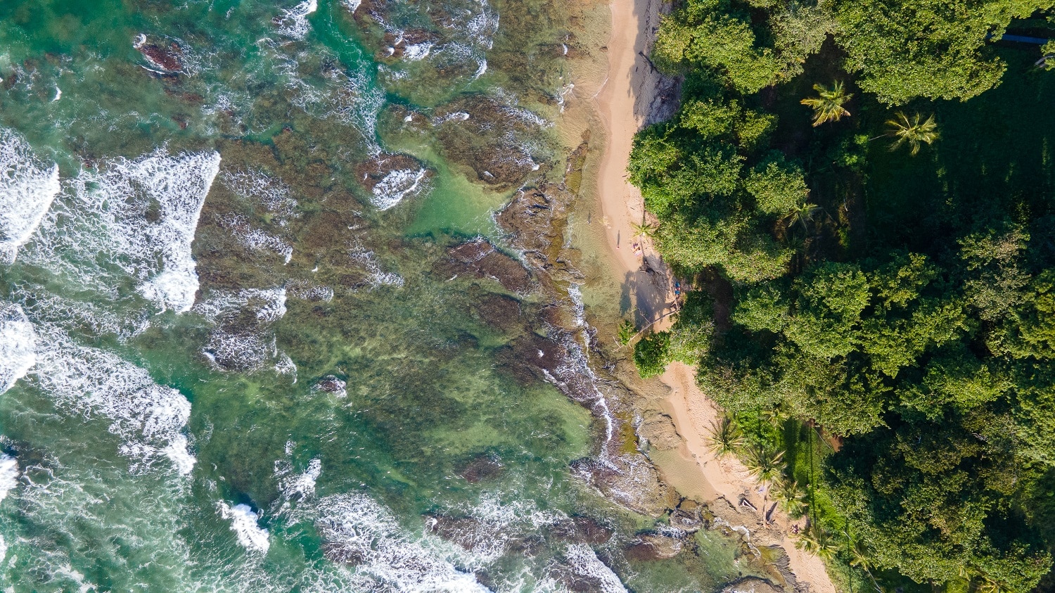 Cahuita National Park Guide