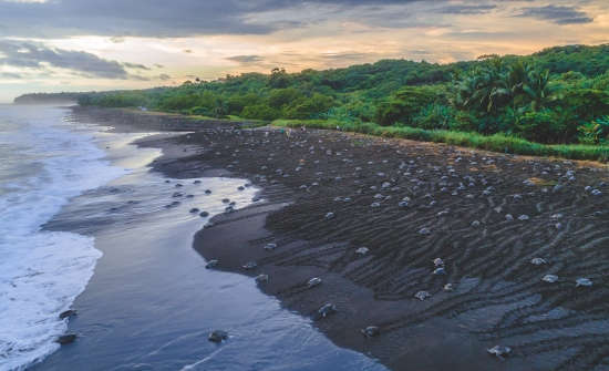 Bahía Ostional