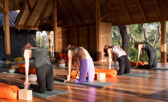 Sala de yoga al aire libre Bodhi Tree