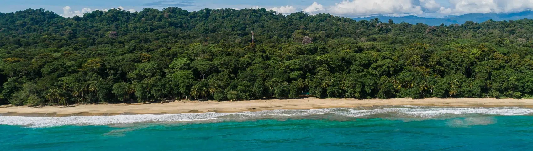 Gandoca Manzanillo Wildlife Refuge Guide