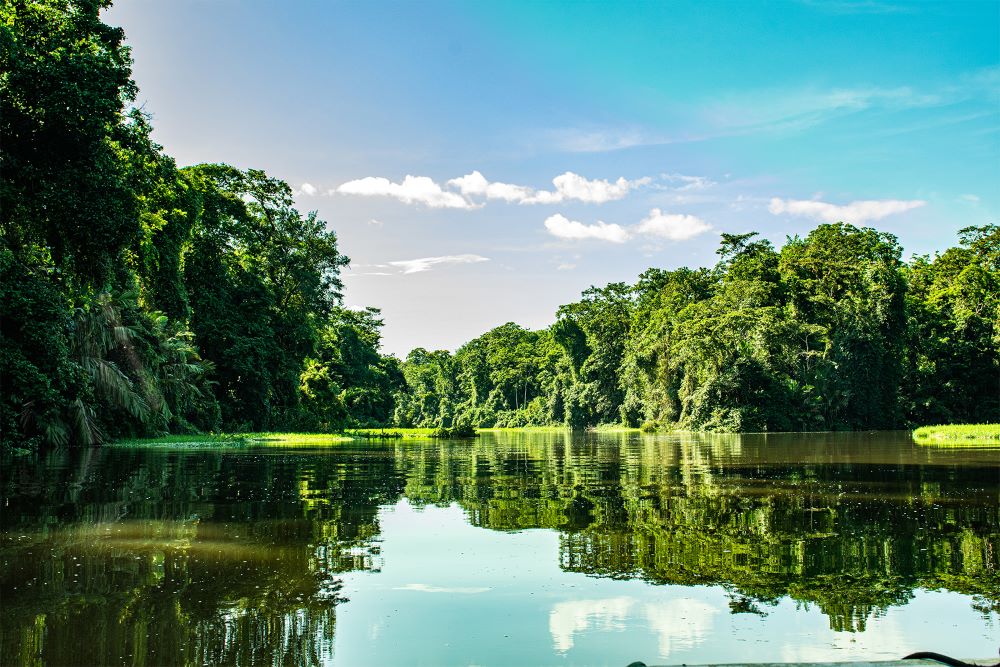 7 Off The Beaten Path Destinations in Costa Rica Tortuguero