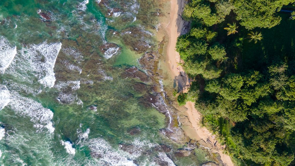 Costa Rica Pacific vs Caribbean Coast Aguas Claras