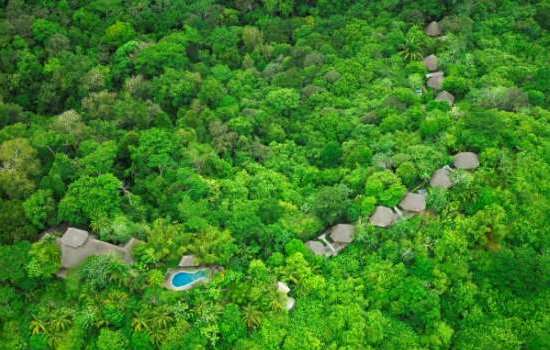 Lapa Rios Rainforest Ecolodge