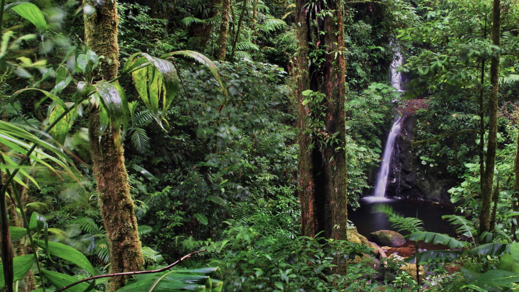 Costa Rica Rainy Season Guide