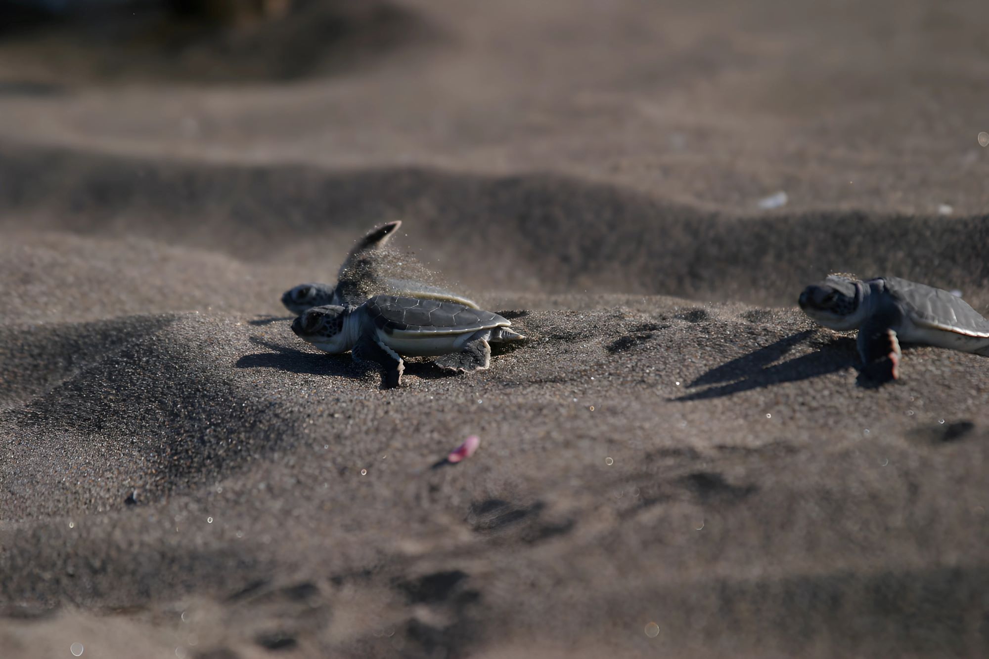 8 Costa Rica Natural Mysteries You Have to See to Believe