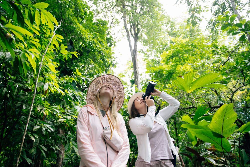 How to Get to the Osa Peninsula Rainforest Botanika