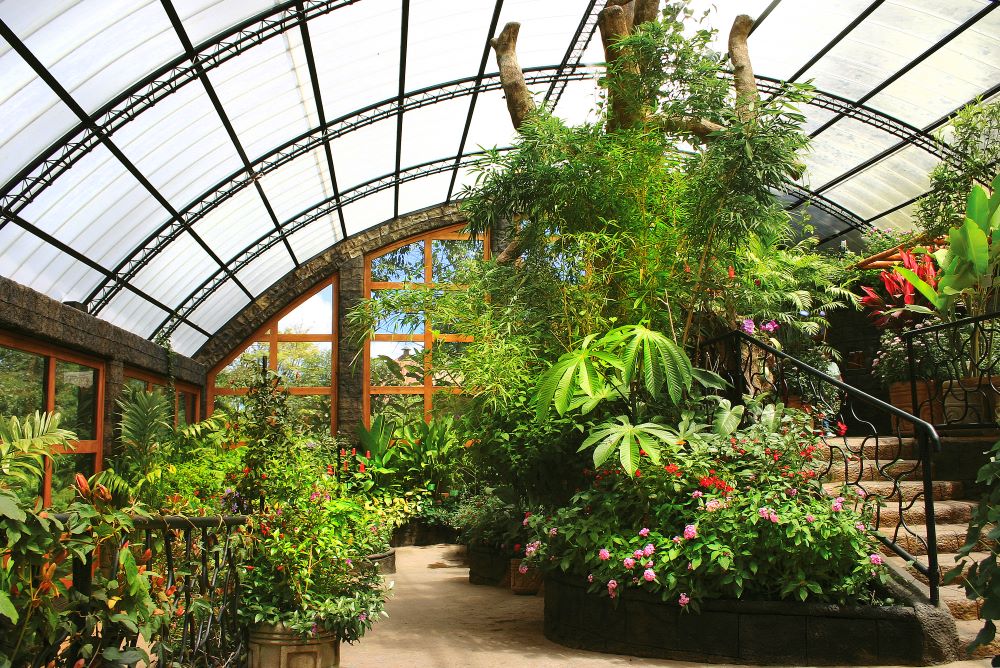 BEST Family Resorts in Costa Rica Peace Lodge