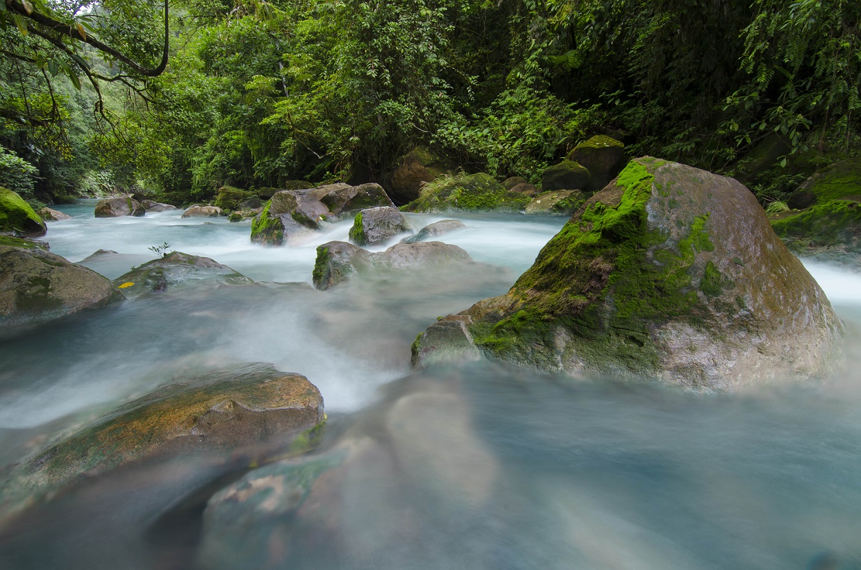 Rio Celeste Waterfall & Tenorio Volcano National Park Guide