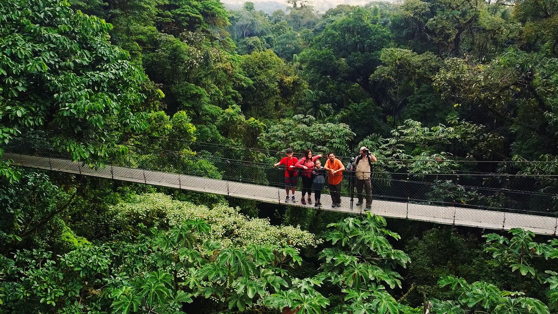 Arenal Hanging Bridges & La Fortuna Waterfall Hike