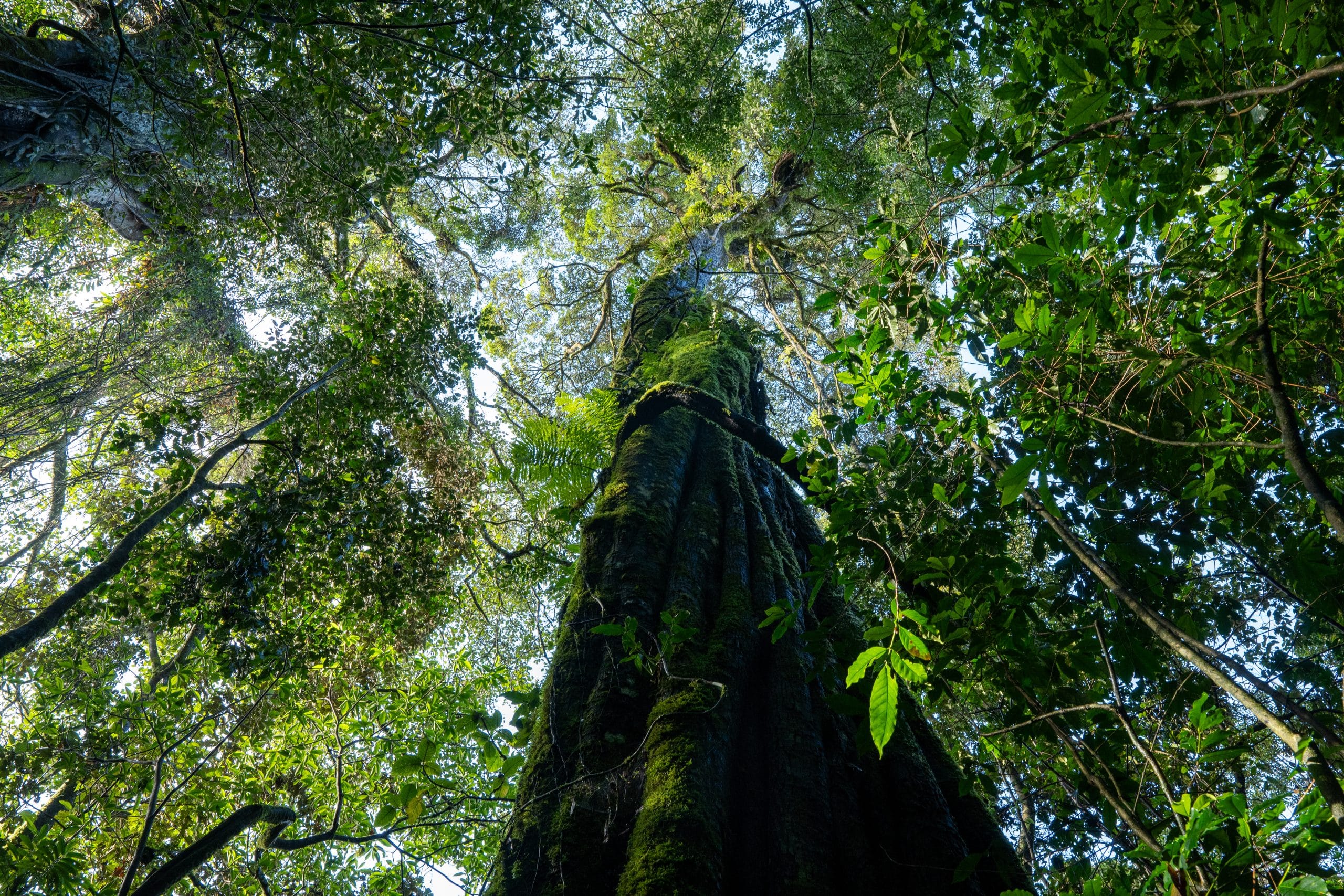 Santa Elena Reserve Hike