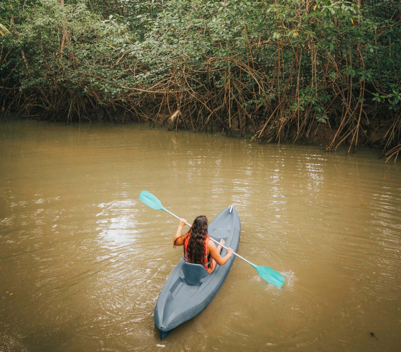 Damas Island Mangrove by Kayak