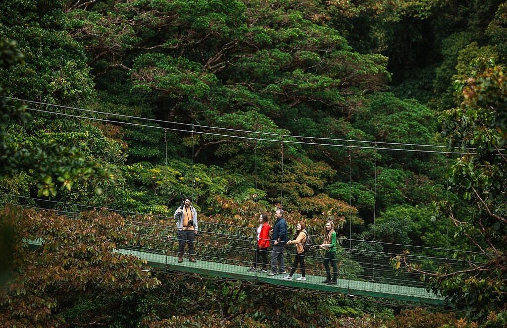 Monteverde Sky Walk, Tram, & Trek Tour