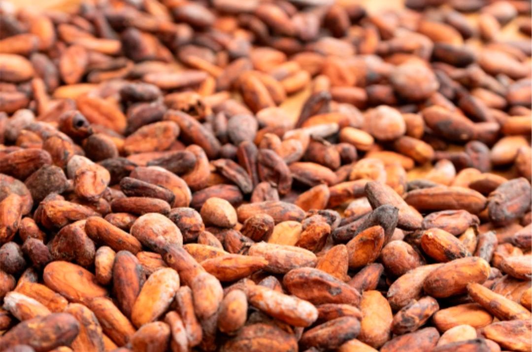 Coffee & Chocolate Tour