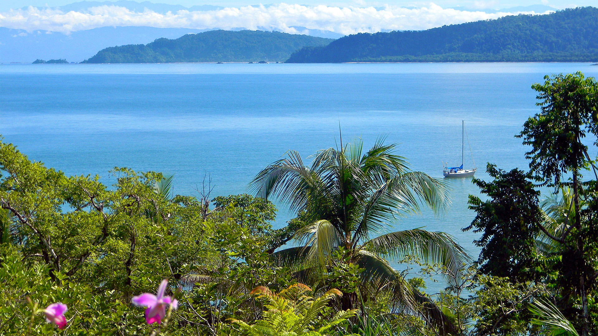 Best Osa Peninsula Hotels & Eco Lodges