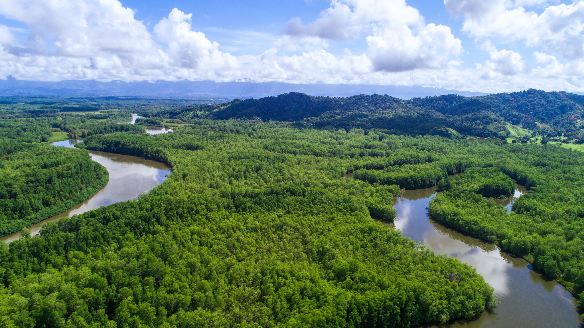 Terraba Sierpe National Wetlands Tour by Boat