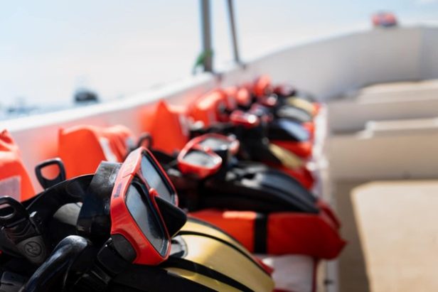 Snorkeling Tour of Catalina Islands