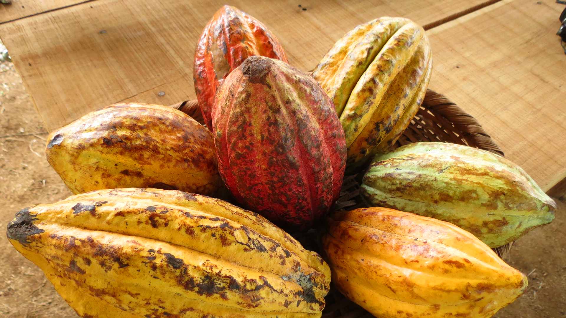 Coffee & Chocolate Tour